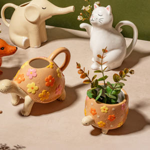 Sass and Belle Tortoise Planter